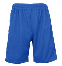 Men's Moisture Wicking Performance Mesh Shorts Royal $21.55 Shorts